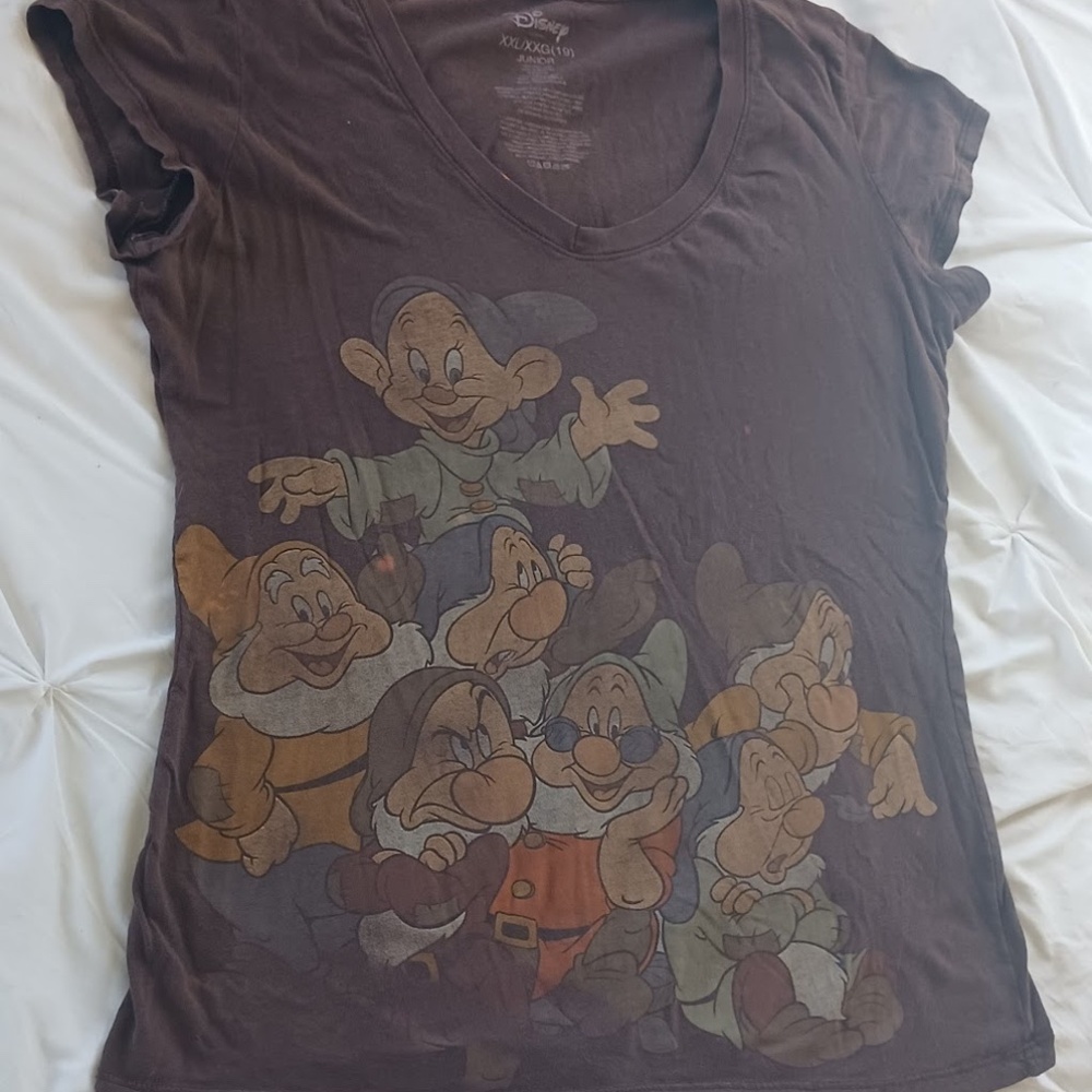 Girls XXL (Junior) Cap sleeved brown t-shirt with Disney's 7 Dwarves